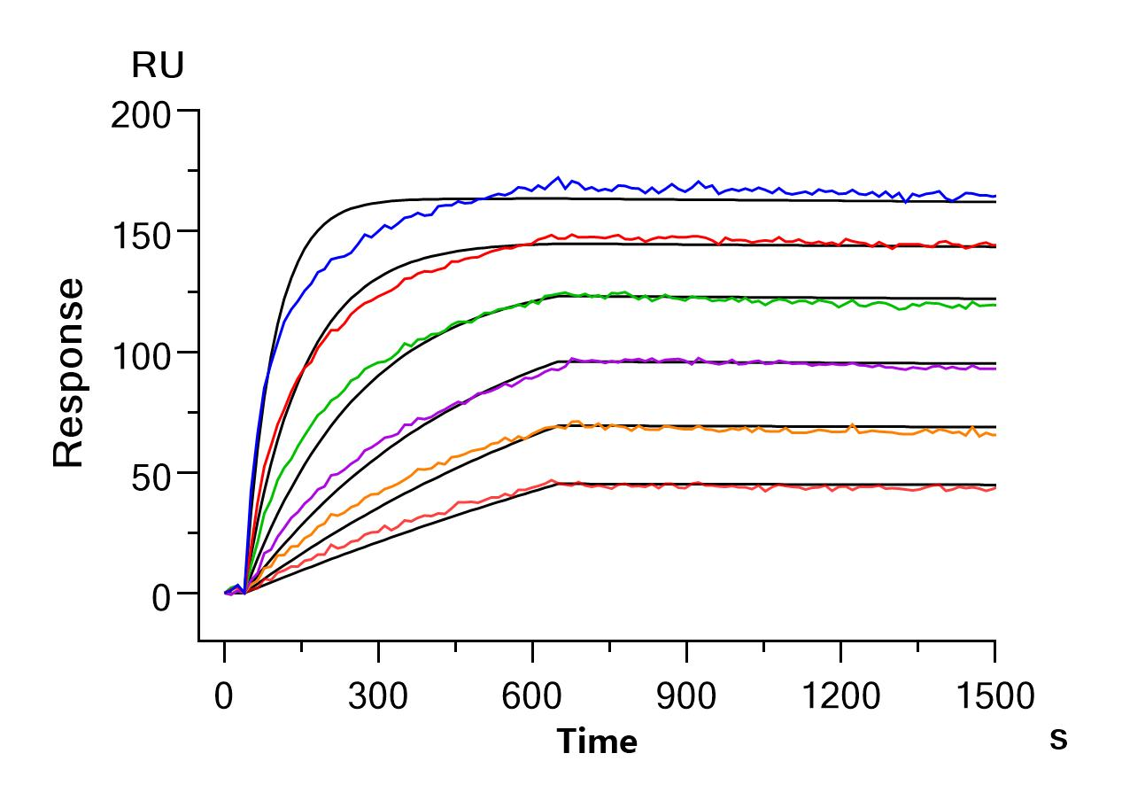 Recombinant Human Claudin-6 (CLDN6)-Detergent (Active)