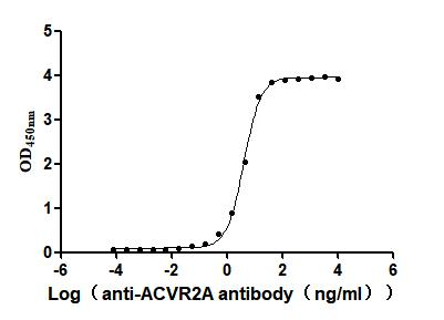 Recombinant Human/Cynomolgus monkey Activin receptor type-2A (ACVR2A), partial (Active)