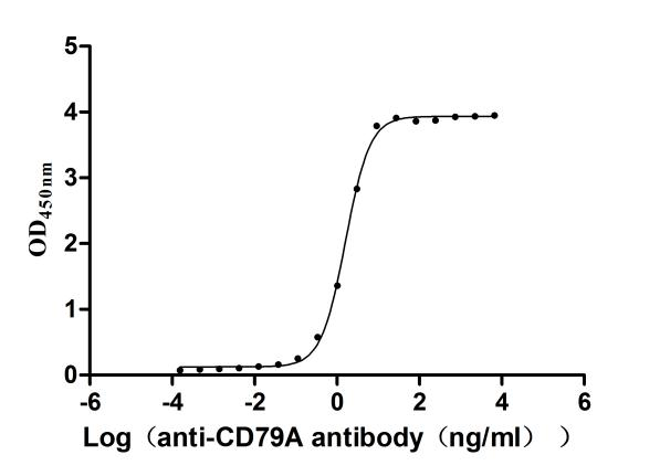 Recombinant Human B-cell antigen receptor complex-associated protein alpha chain (CD79A), partial (Active)