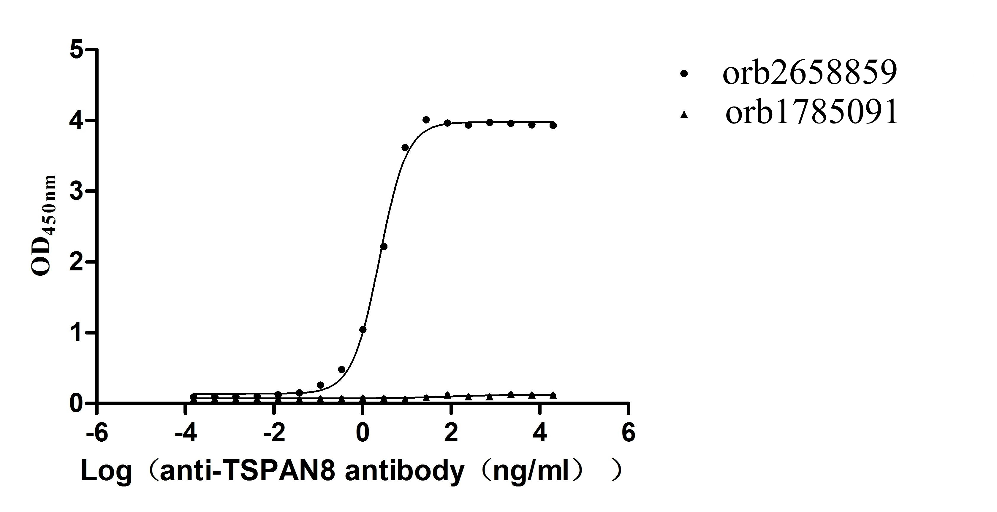 Recombinant Human Tetraspanin-8 (TSPAN8)-VLPs (Active)