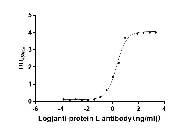 Recombinant Finegoldia magna ATCC 53516 LPXTG-motif cell wall anchor domain protein, partial (Active)