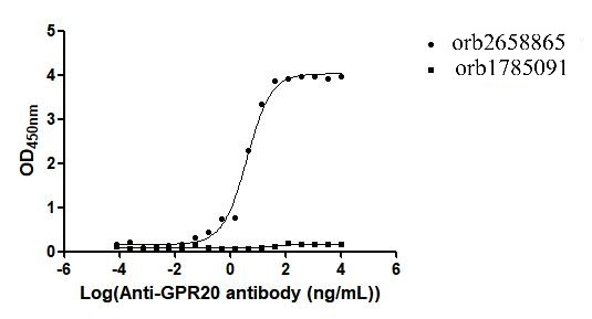 Recombinant Macaca fascicularis G-protein coupled receptor 20 (GPR20)-VLPs (Active)