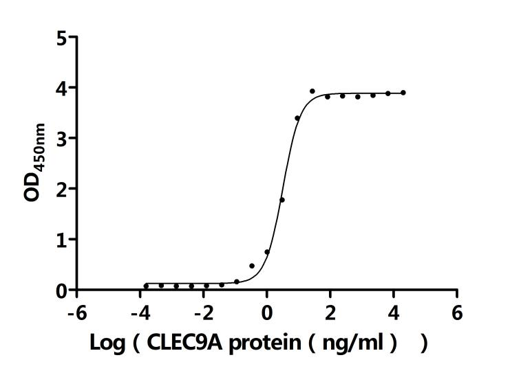 Recombinant Human C-type lectin domain family 9 member A (CLEC9A), partial, Biotinylated (Active)