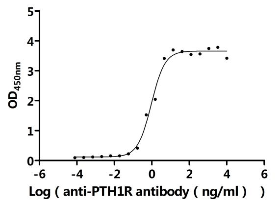 Recombinant Rat Parathyroid hormone/parathyroid hormone-related peptide receptor (Pth1r), partial (Active)