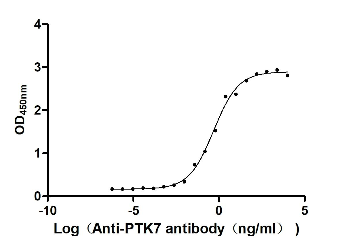 Recombinant Human Inactive tyrosine-protein kinase 7 (PTK7), partial (Active)