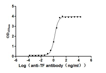 Recombinant Human Tissue factor (F3), partial (Active)