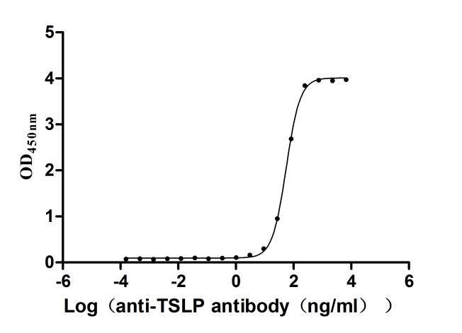 Recombinant Human Thymic stromal lymphopoietin (TSLP) (R127A,R130A) (Active)