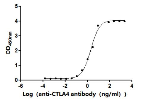 Recombinant Finegoldia magna ATCC 53516 LPXTG-motif cell wall anchor domain protein, partial (Active)