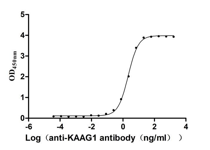 Recombinant Human Kidney-associated antigen 1 (KAAG1) (Active)