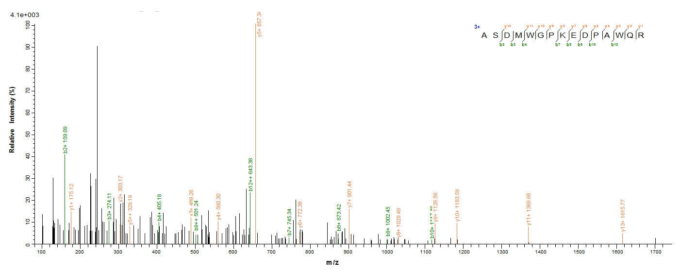 Recombinant Mycobacterium tuberculosis Diacylglycerol acyltransferase/mycolyltransferase Ag85A (fbpA), partial