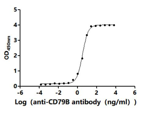 Recombinant Human B-cell antigen receptor complex-associated protein beta chain (CD79B), partial (Active)