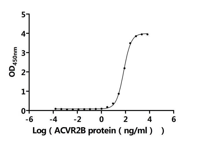 Recombinant Human Growth/differentiation factor 8 (MSTN) (Active)