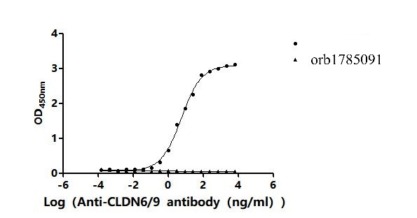 Recombinant Chlorocebus sabaeus Claudin (CLDN6)-VLPs (Active)