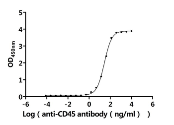 Recombinant Human Receptor-type tyrosine-protein phosphatase C (PTPRC), partial (Active)