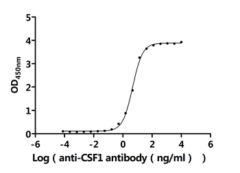 Recombinant Human Macrophage colony-stimulating factor 1 (CSF1), partial (Active)