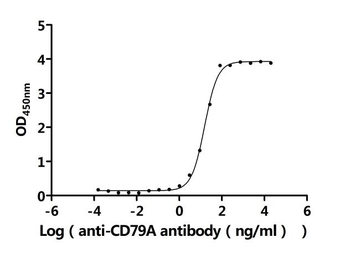 Recombinant Human B-cell antigen receptor complex-associated protein alpha chain (CD79A), partial (Active)