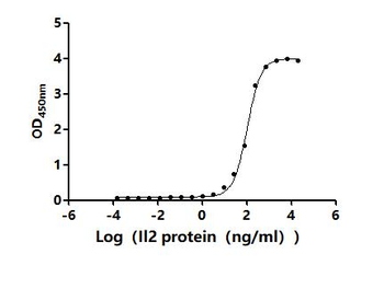 Recombinant Mouse Interleukin-2 receptor subunit alpha (Il2ra), partial (Active)