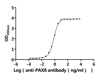 Recombinant Human Paired box protein Pax-8 (PAX8), partial (Active)
