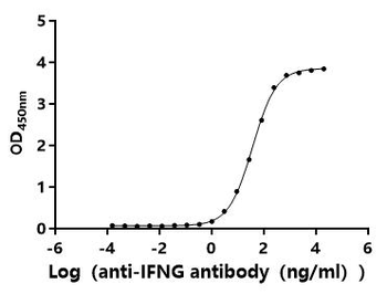 Recombinant Macaca mulatta Interferon gamma (IFNG) (Active)