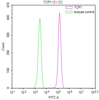 TCP1 Antibody