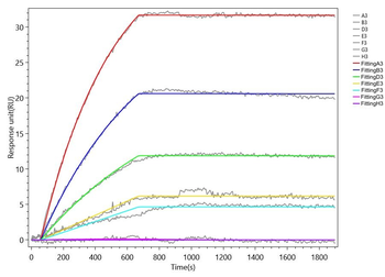 CD19 Antibody