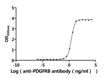 Recombinant Human Platelet-derived growth factor receptor beta (PDGFRB), partial (Active)