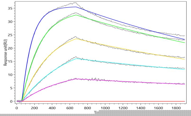 Recombinant Human Galectin-3 (LGALS3)