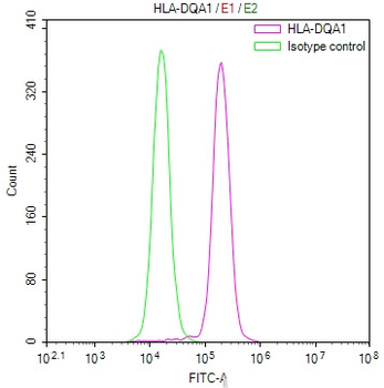 HLA-DQA1 Antibody