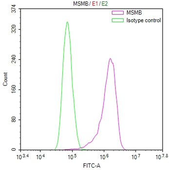 MSMB Antibody