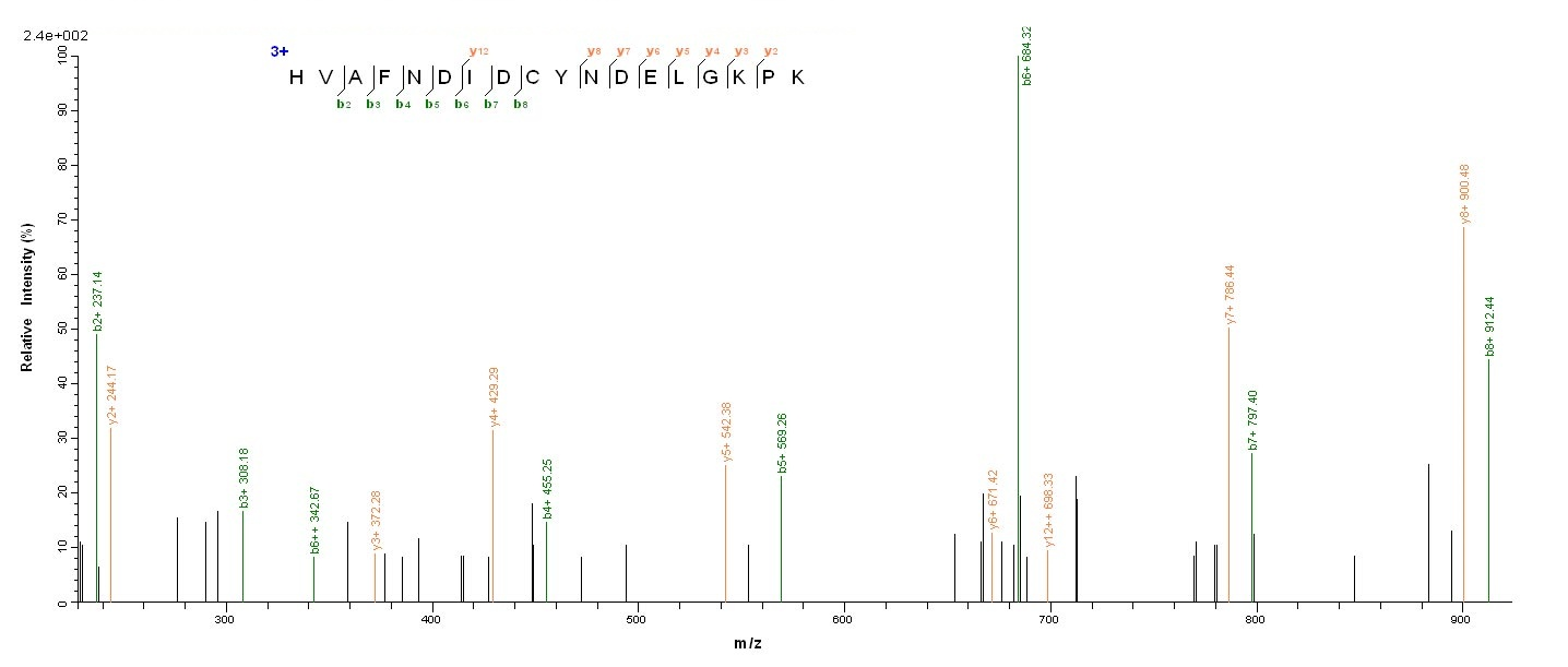 Bacterial acpS protein