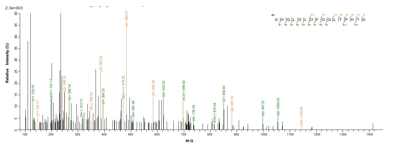Human BLLF1 protein