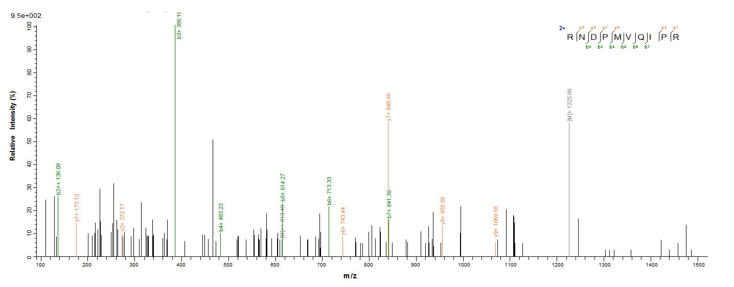 Bacterial fbpC protein
