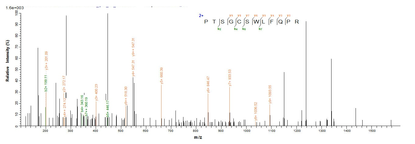 Human CD8A protein