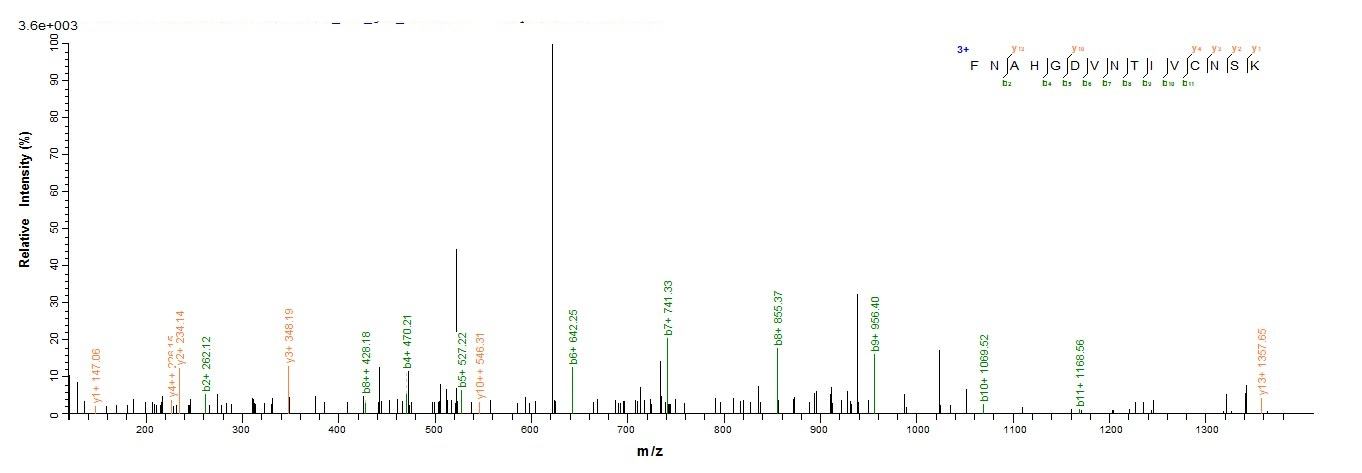 Bovine LGALS1 protein