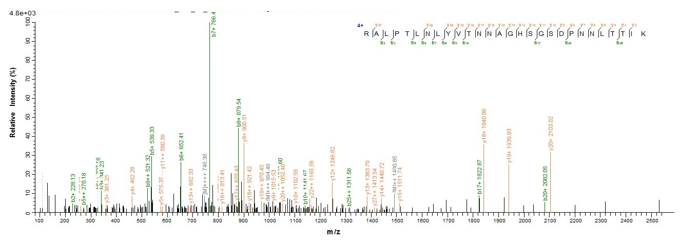 Bacterial pip protein