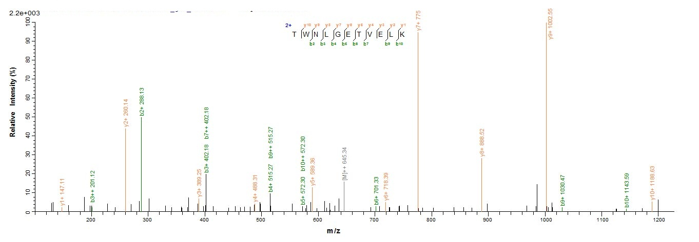 Human CD8A protein