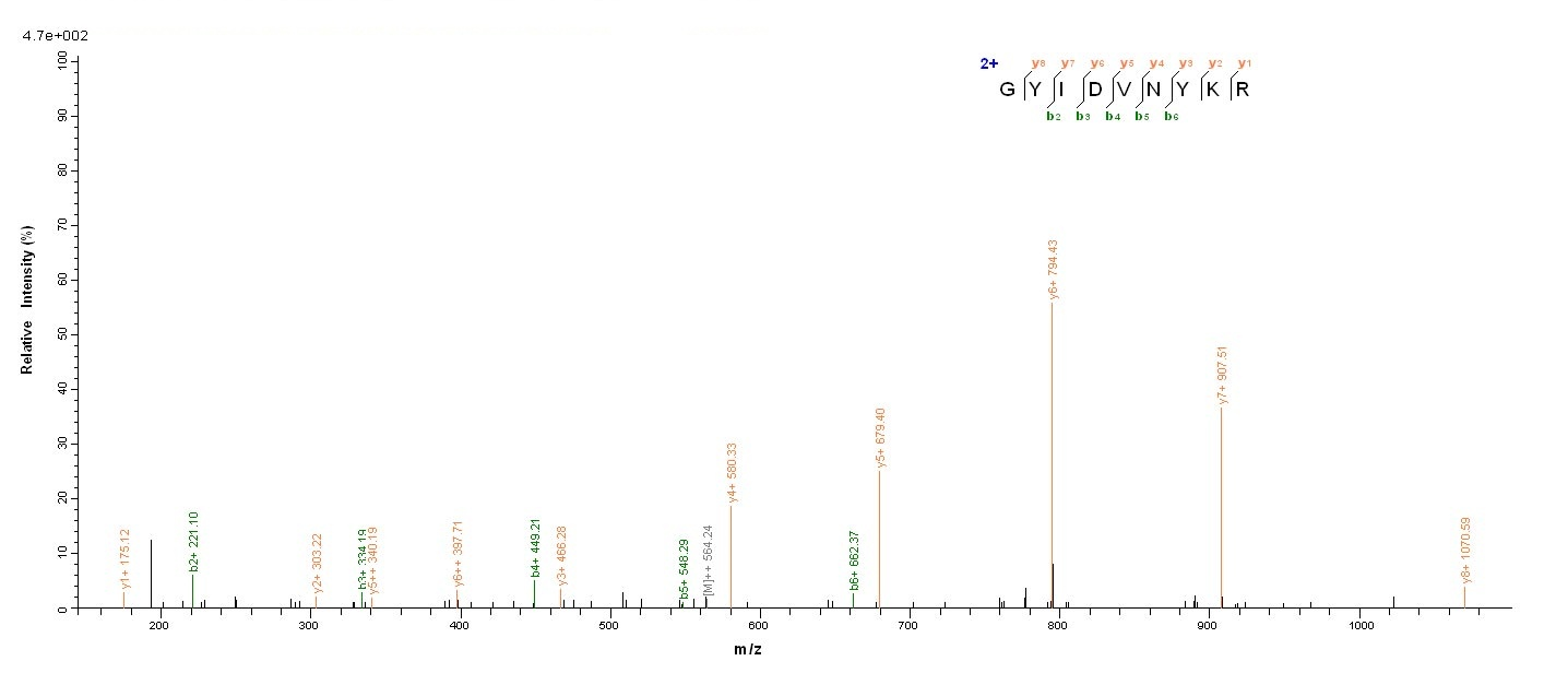 Viral K3L protein