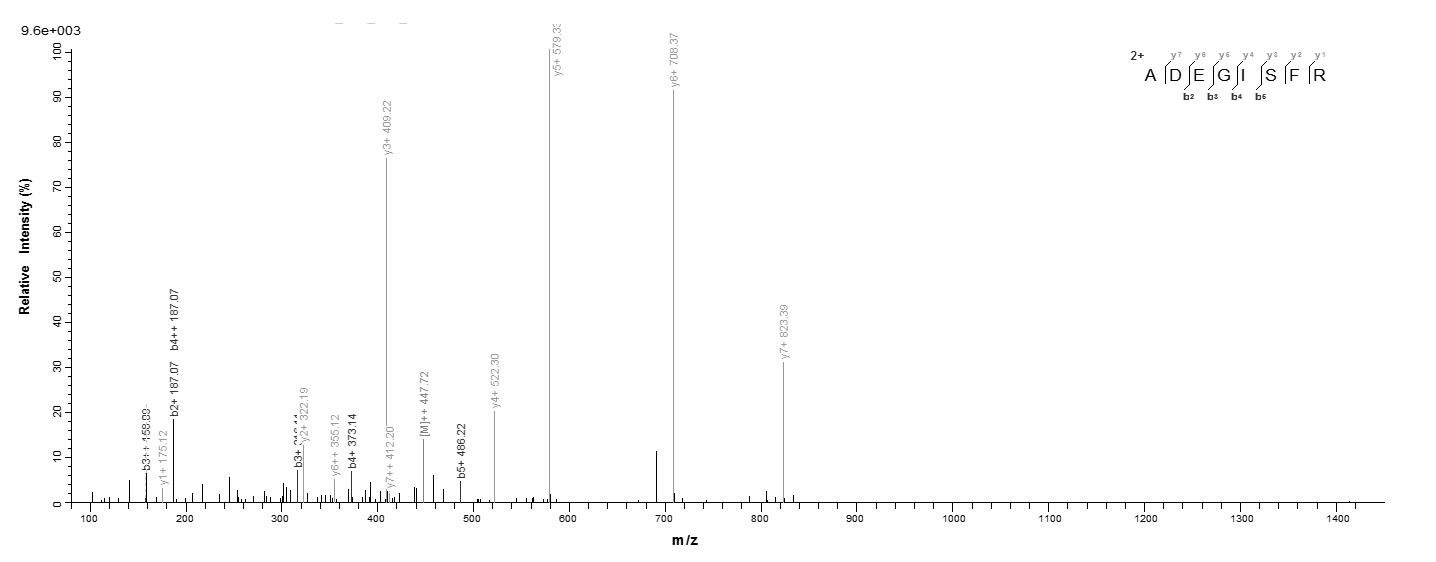 Hamster PRDX1 protein