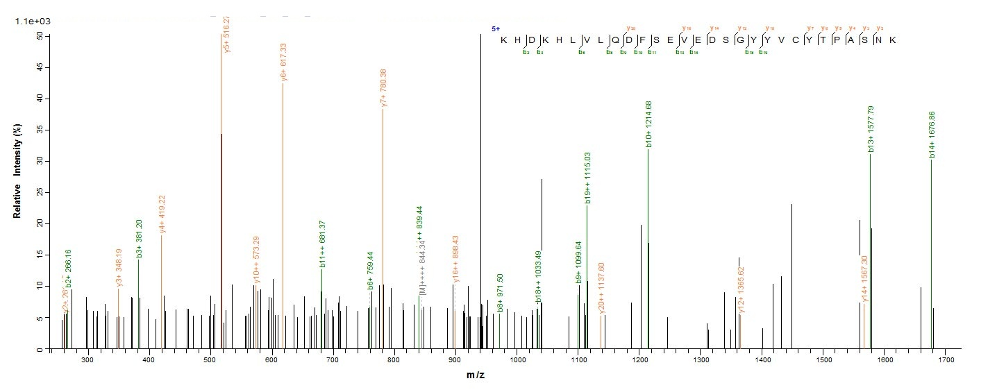 Mouse CD3E protein