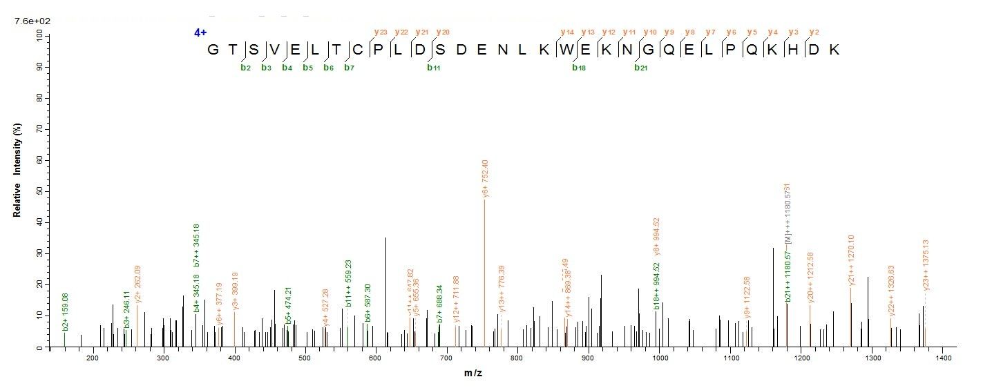 Mouse CD3E protein
