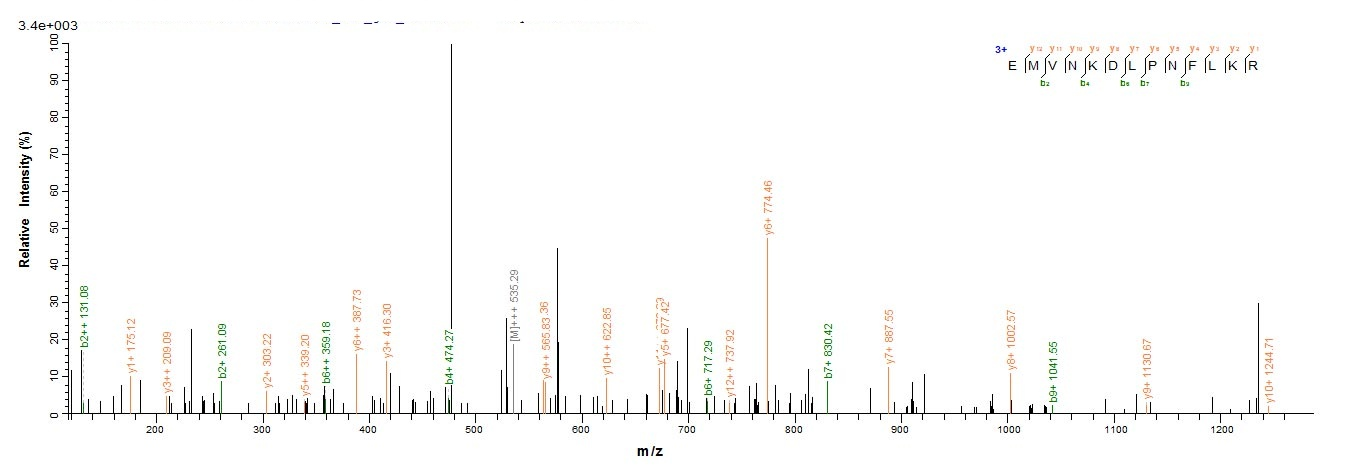 Rat S100a9 protein
