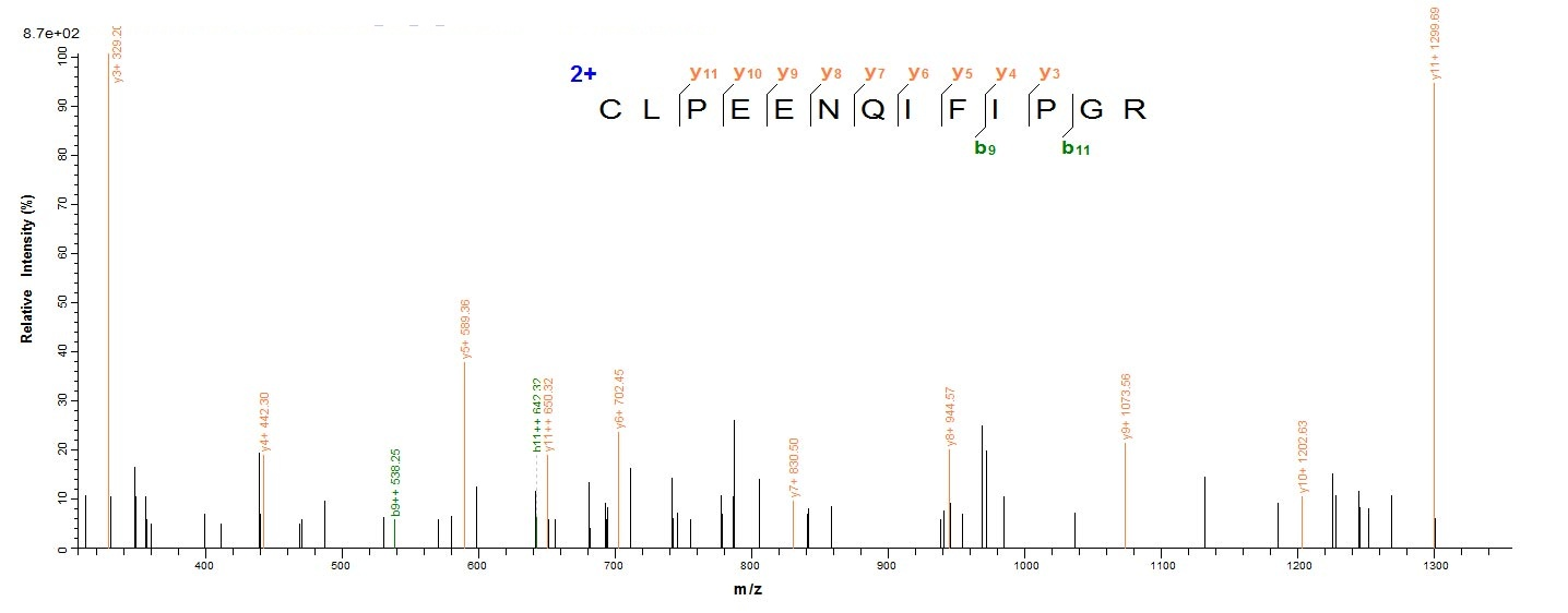 Mouse Tmprss15 protein