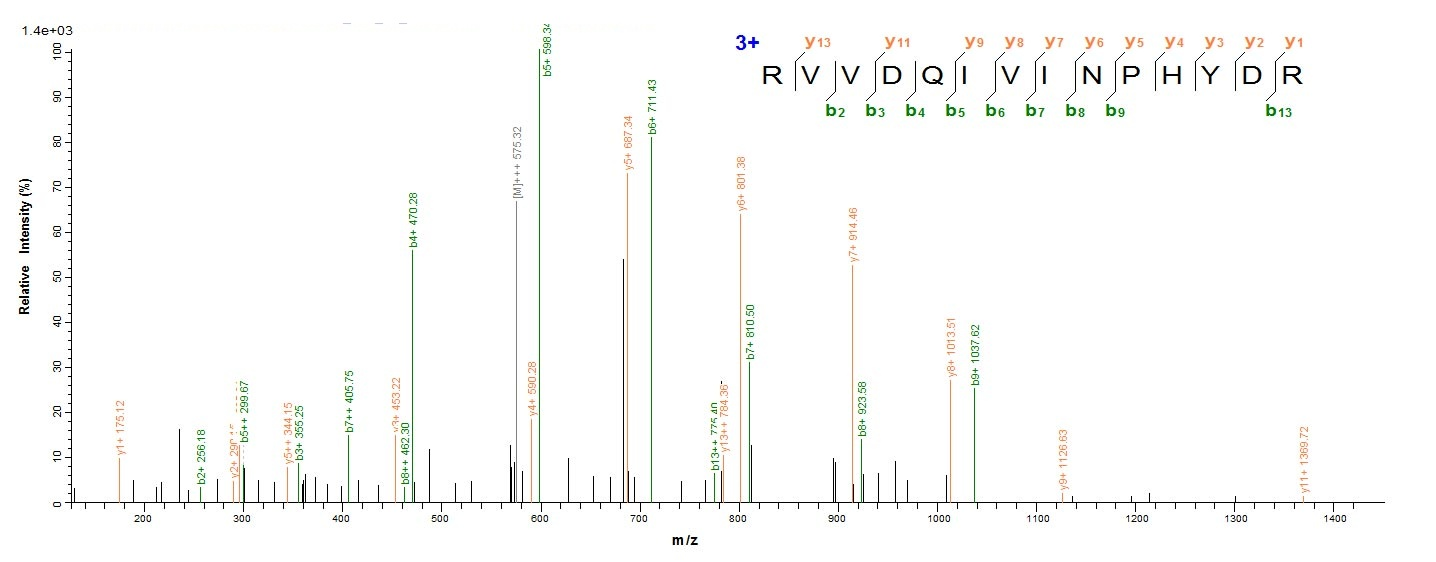 Mouse Tmprss15 protein