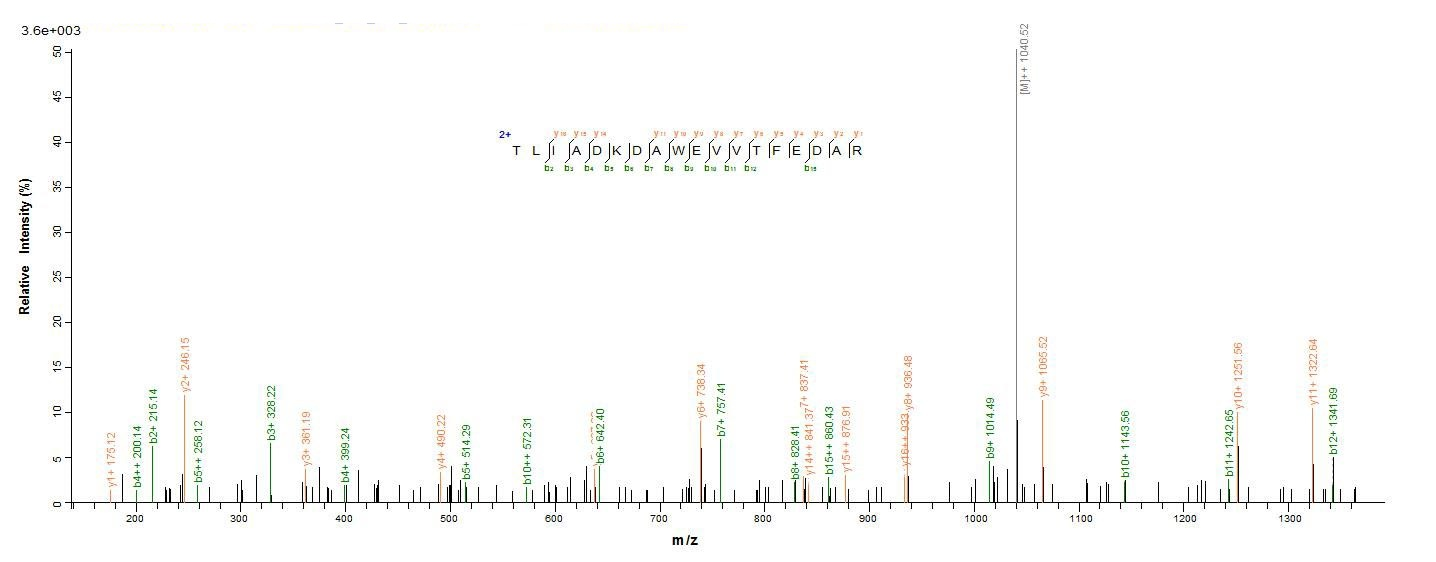 Bacterial lpxC protein