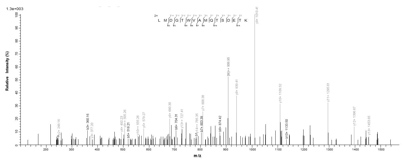 G protein