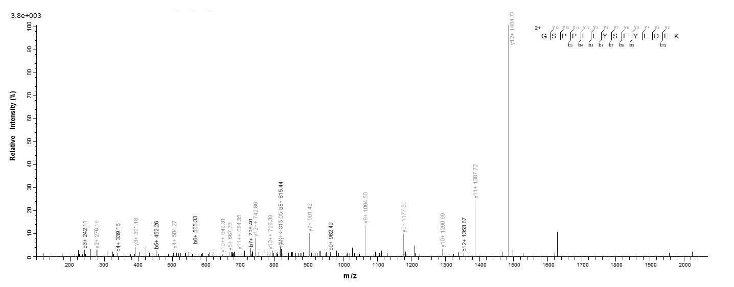 G protein