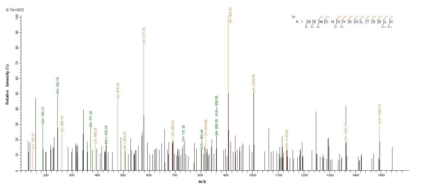 Human COLEC11 protein