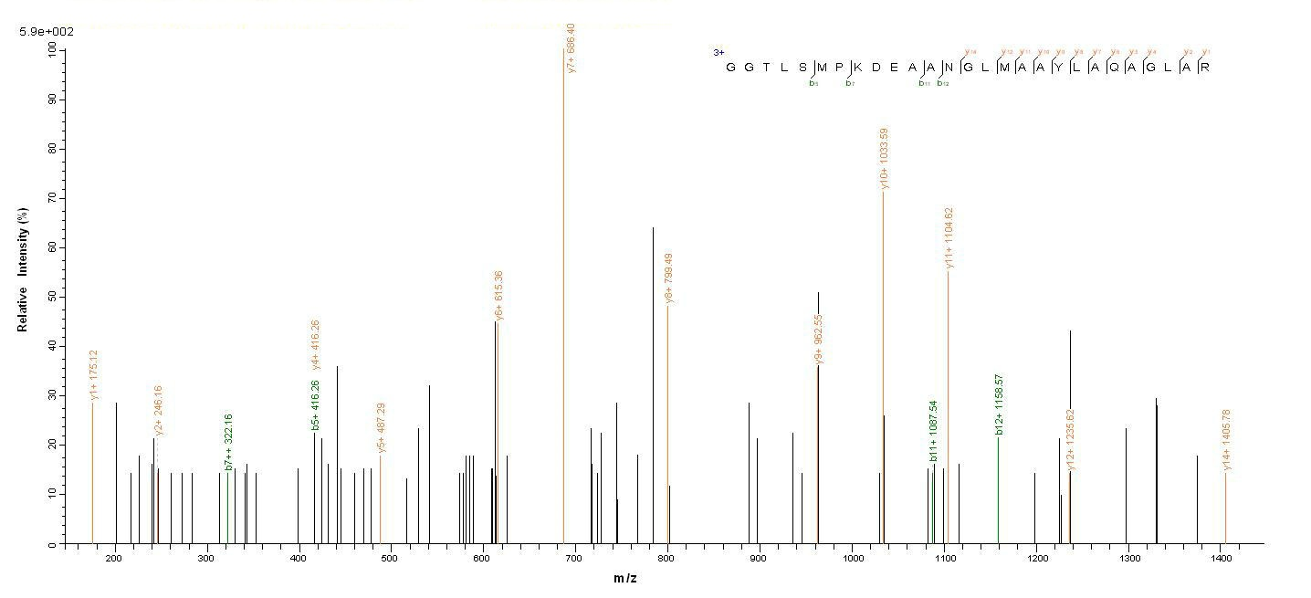 Human COLEC11 protein