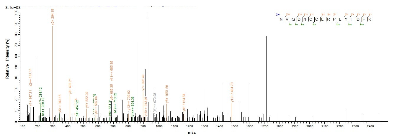 Human TGFB2 protein