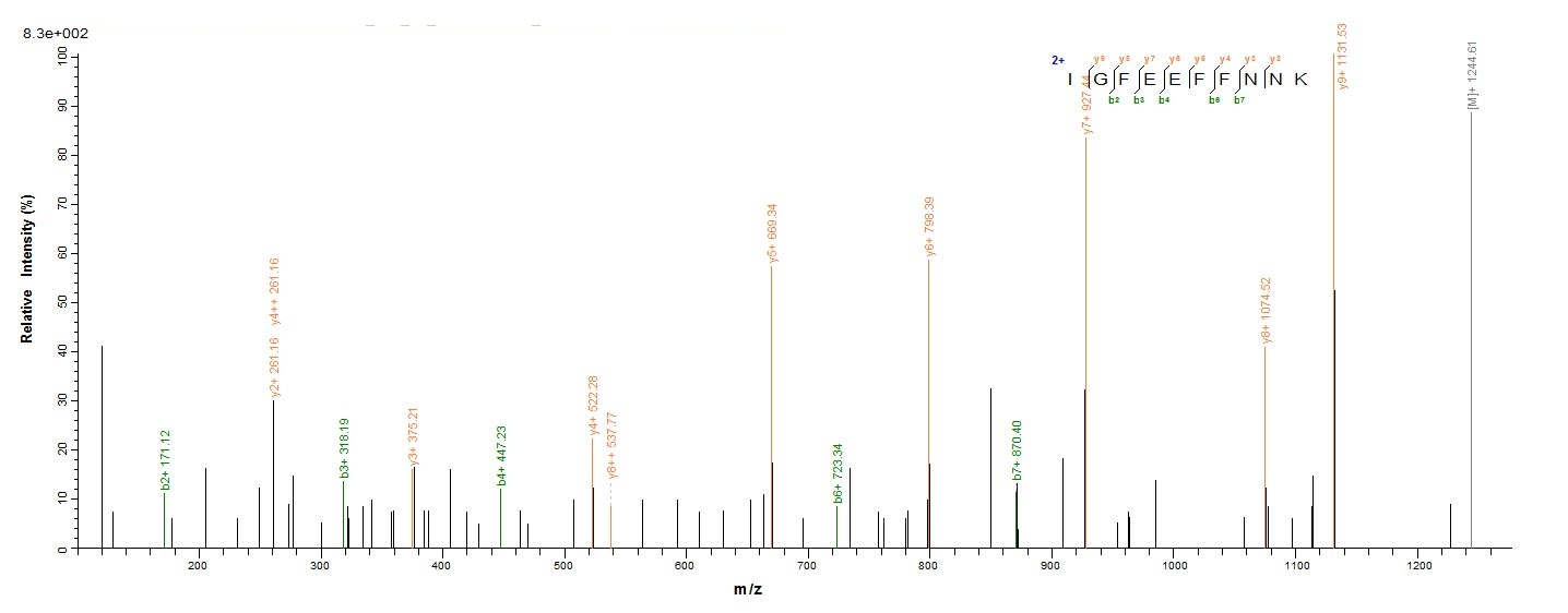 Yeast ATG1 protein